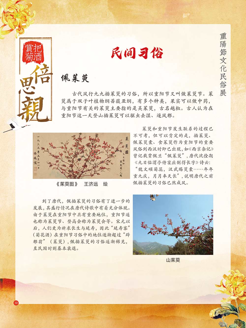 1603265499183430.jpg 0012.jpg