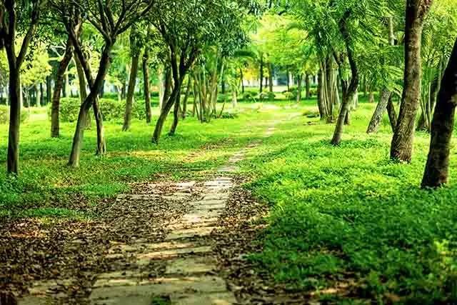 1604647386592162.jpg 8-1.jpg