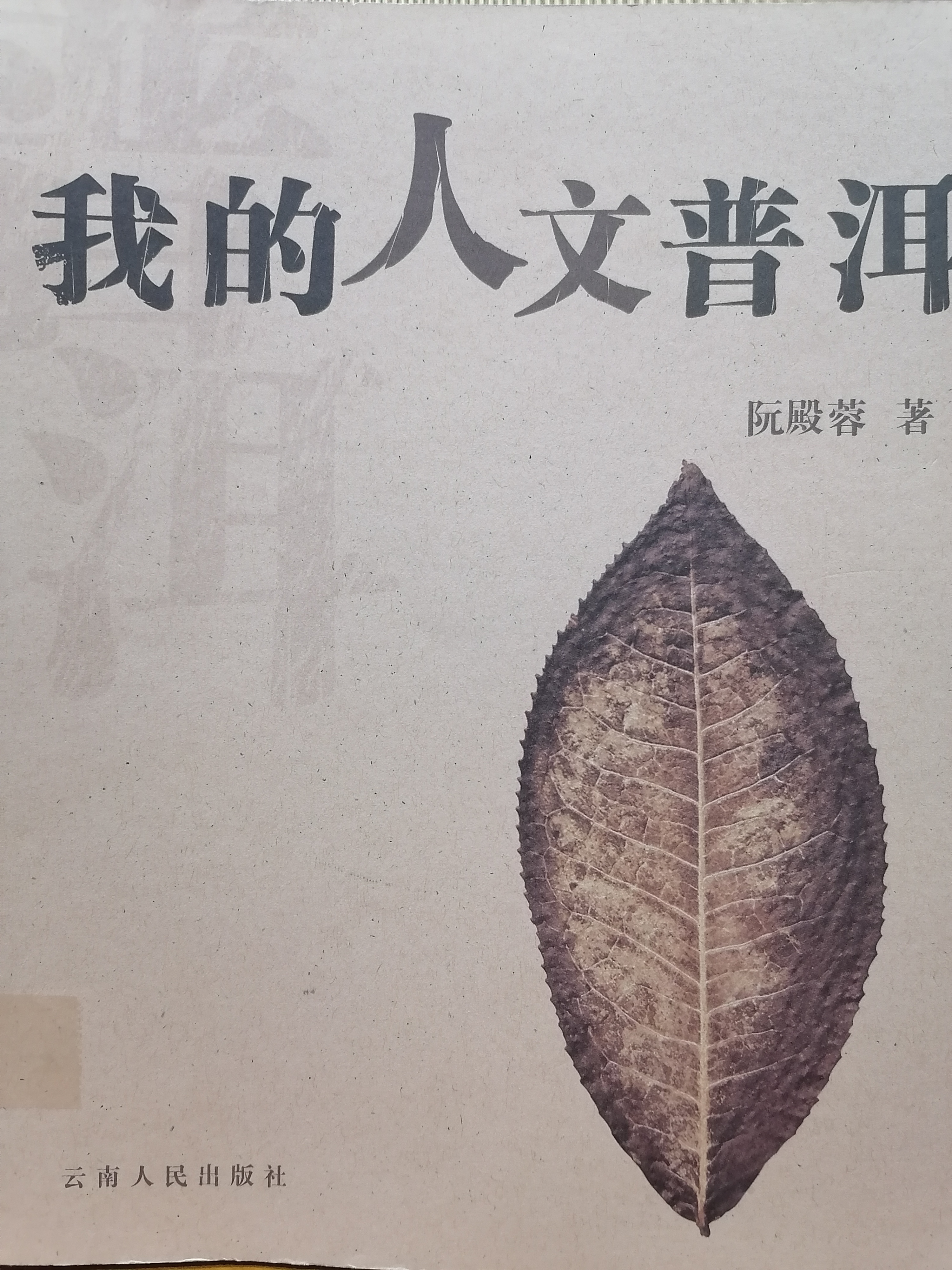 10《我的人文普洱 》.jpg