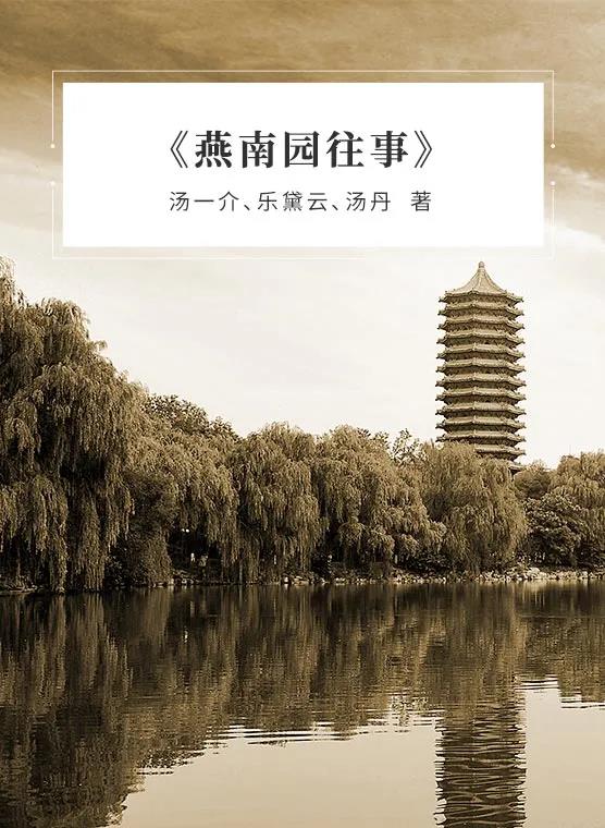 1618818239529546.jpg 5.jpg