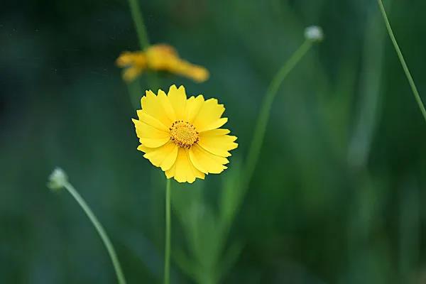 1620282275823046.jpg 8-1.jpg