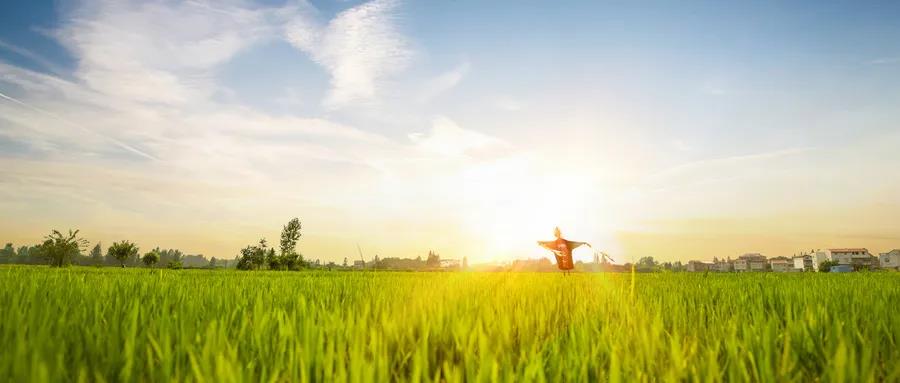 1620804648595394.jpg 5-1.jpg