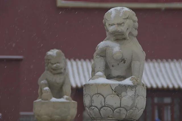 1620806598434306.jpg 4-1.jpg