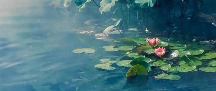 1620806632463458.jpg 7-1.jpg