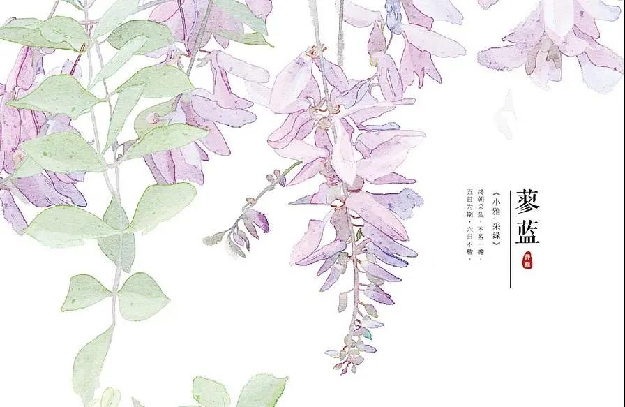 1620806649547187.jpg 8-1.jpg