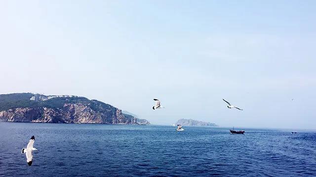 1621843063542213.jpg 0.jpg