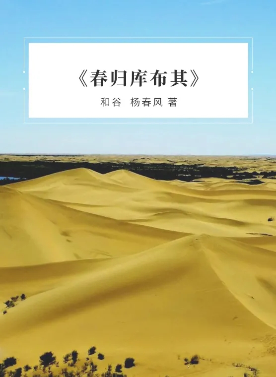 1624341623525108.jpg 4.webp.jpg